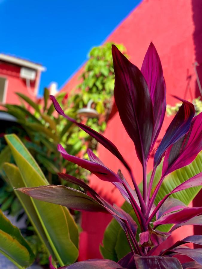 Pousada Kawaii Porto Seguro Dış mekan fotoğraf